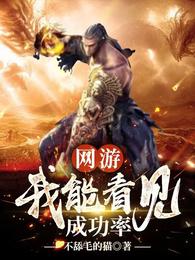 网游:我能看见成功率